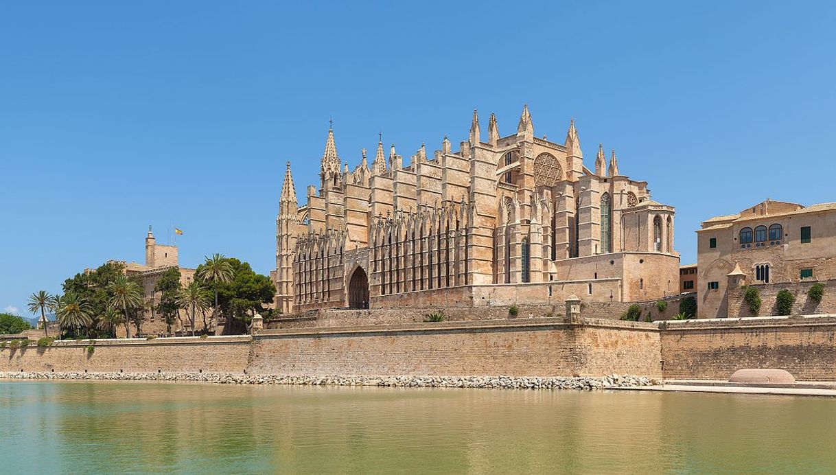 Lugar Catedral