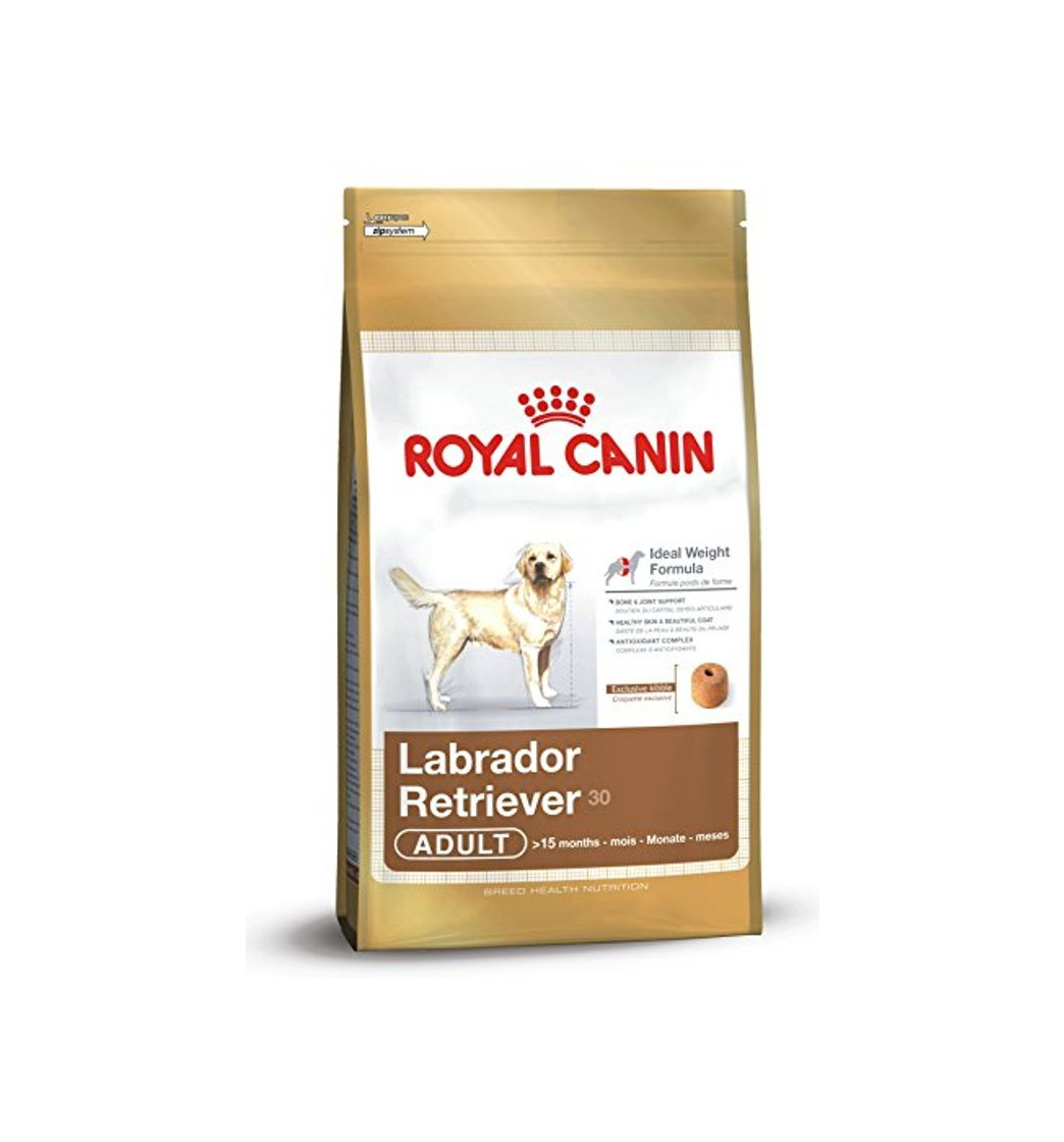 Social Royal Canin C-08905 S