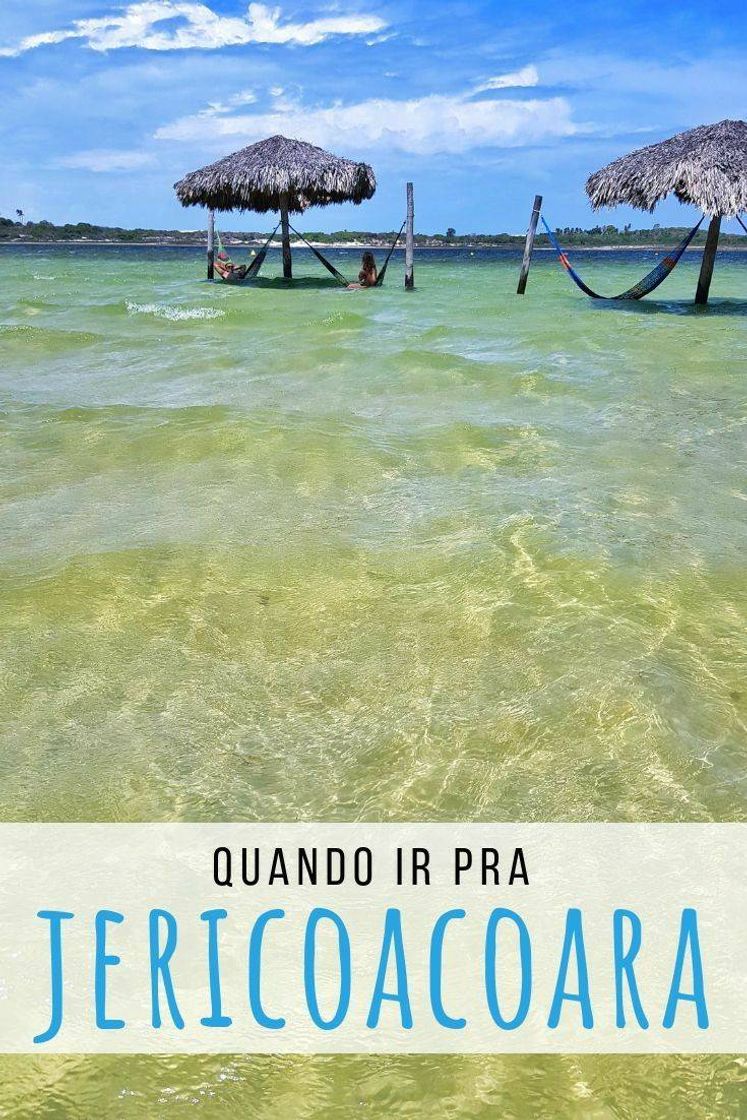 Social Melhor época pra viajar 