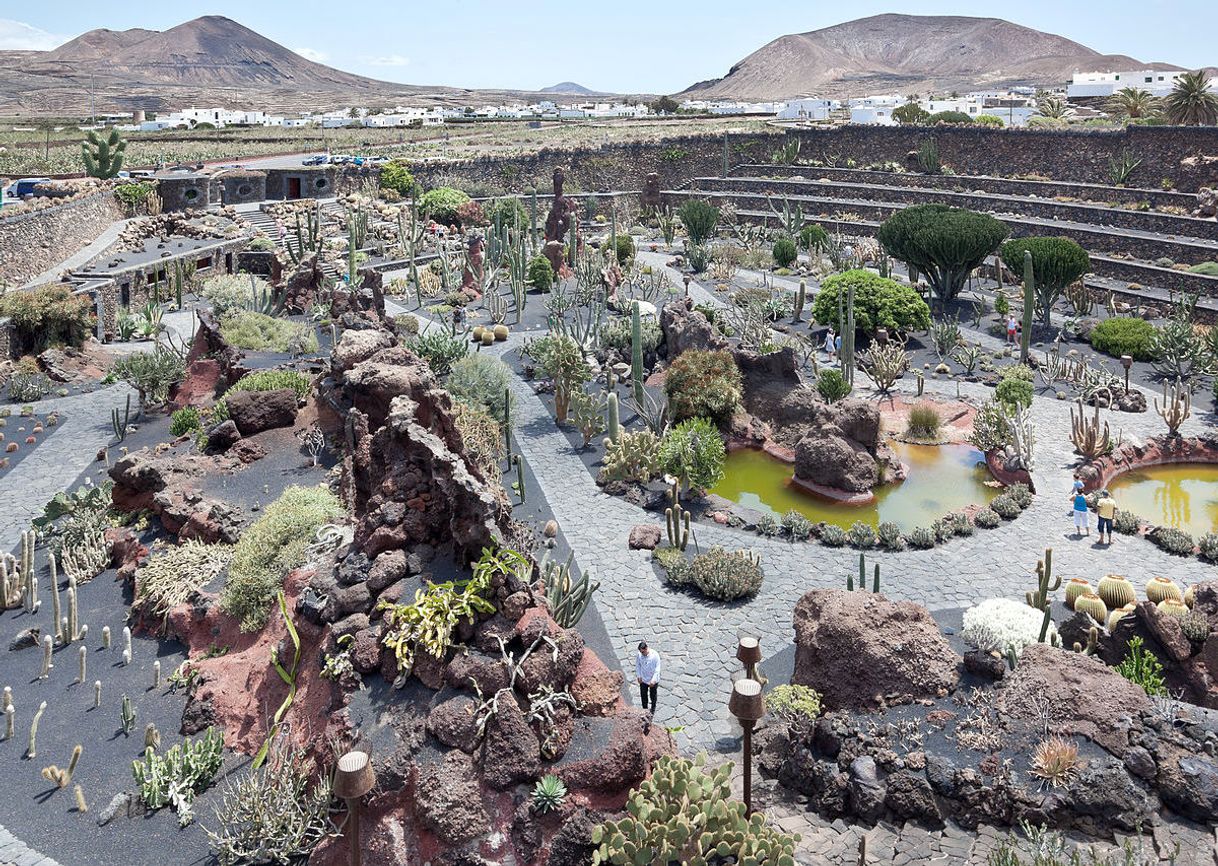 Place Jardín de Cactus de Lanzarote