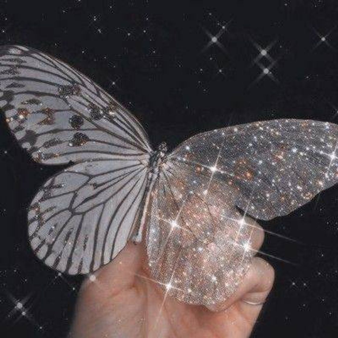 Social Foto com glitter