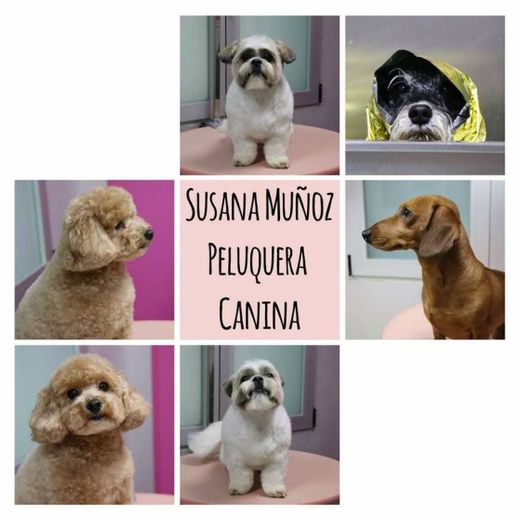 Susana Muñoz Peluquera Canina - Home | Facebook