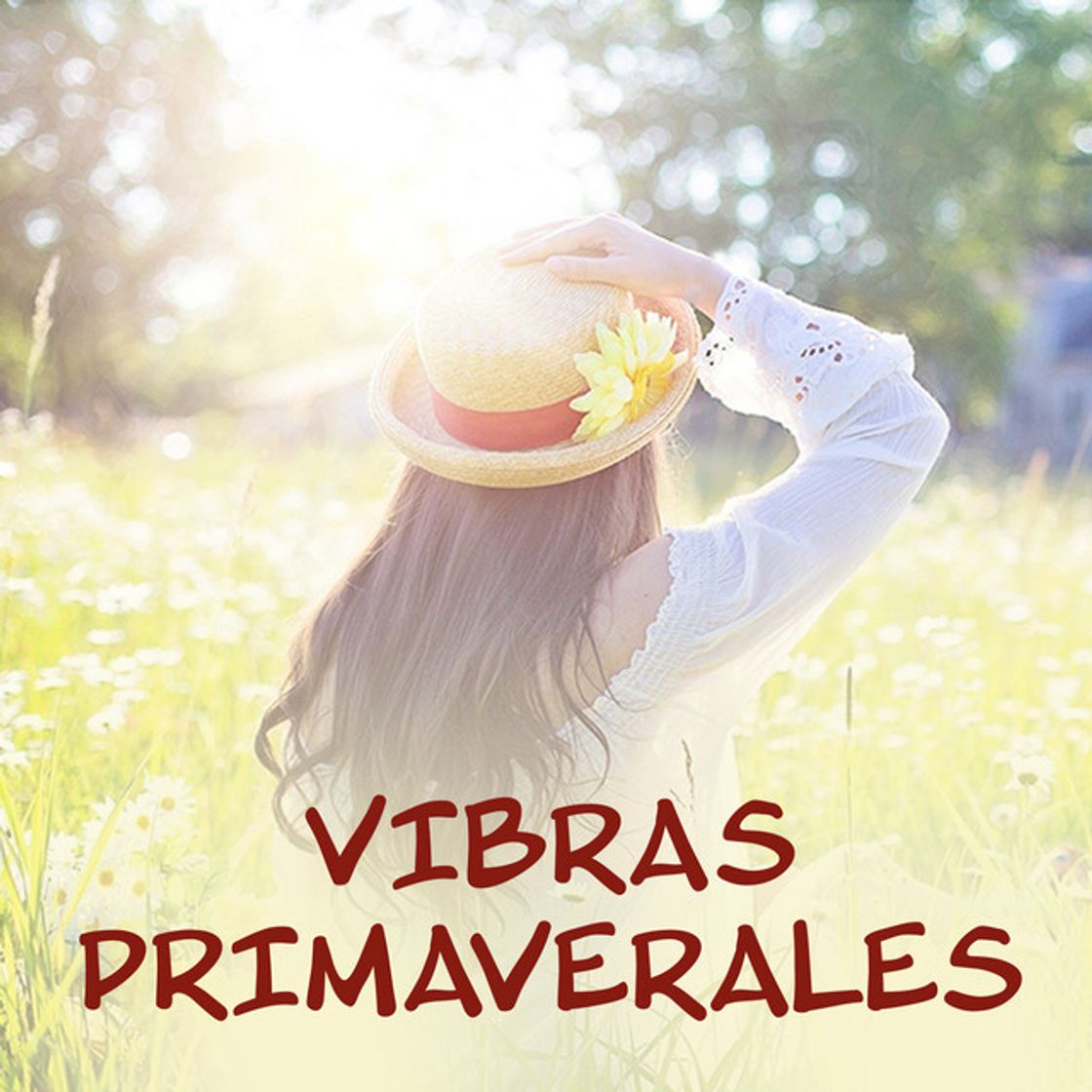 Canción Perdío