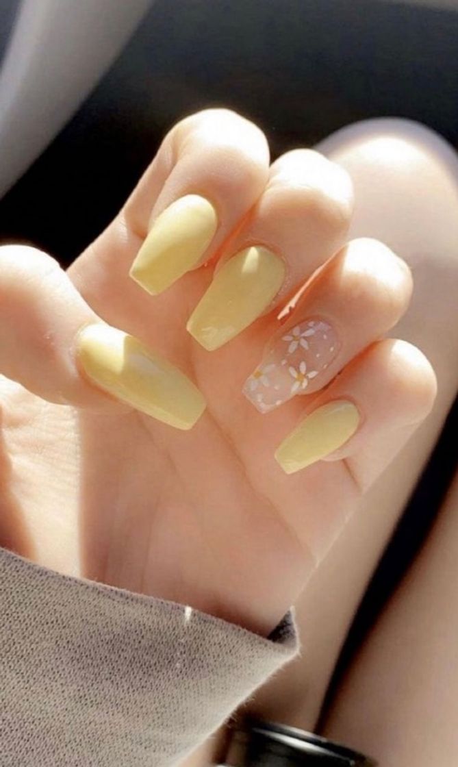 Moda Unhas básicas💛