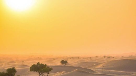 Abu Dhabi Desert Safari / رحلات سفاري ابوظبي