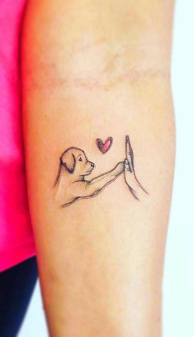 Moda Cães + tatuagem = fofura extrema 