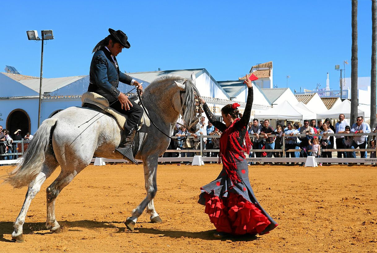 Lugar Feria del Caballo