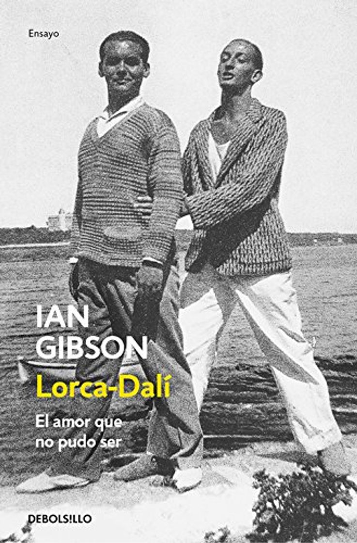 Book Lorca-Dalí: El amor que no pudo ser (Ensayo