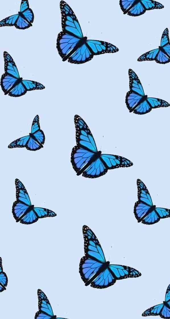 Moda 🦋💙