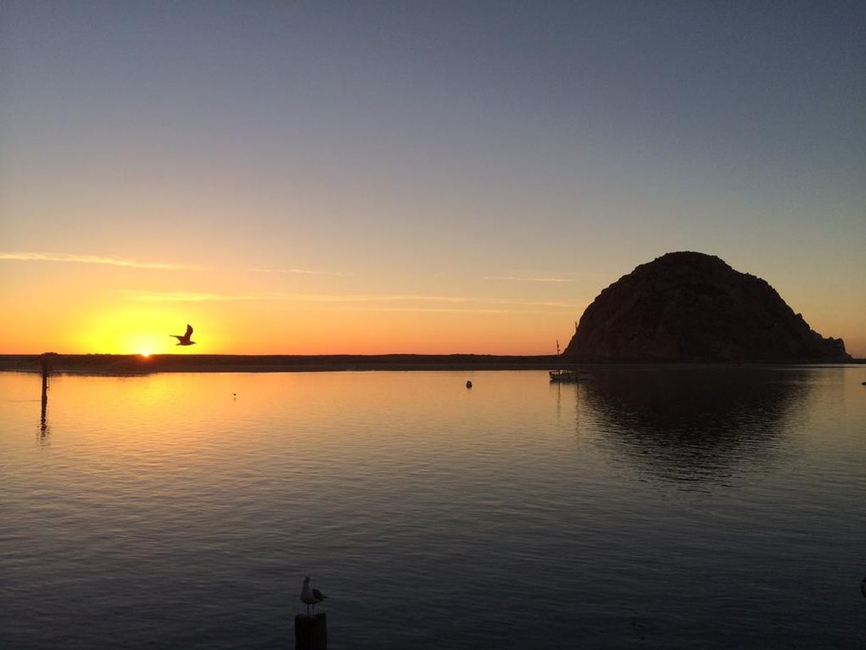 Place Morro Bay