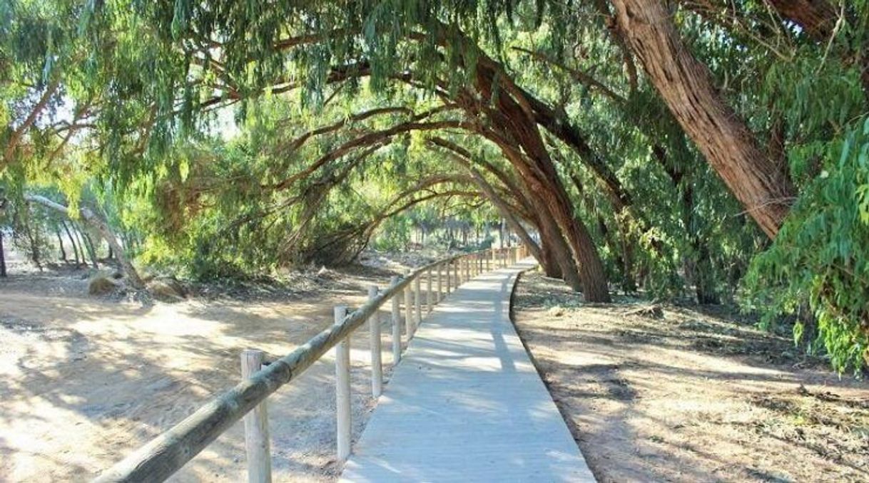 Lugar Parque natural de las Lagunas de La Mata y Torrevieja