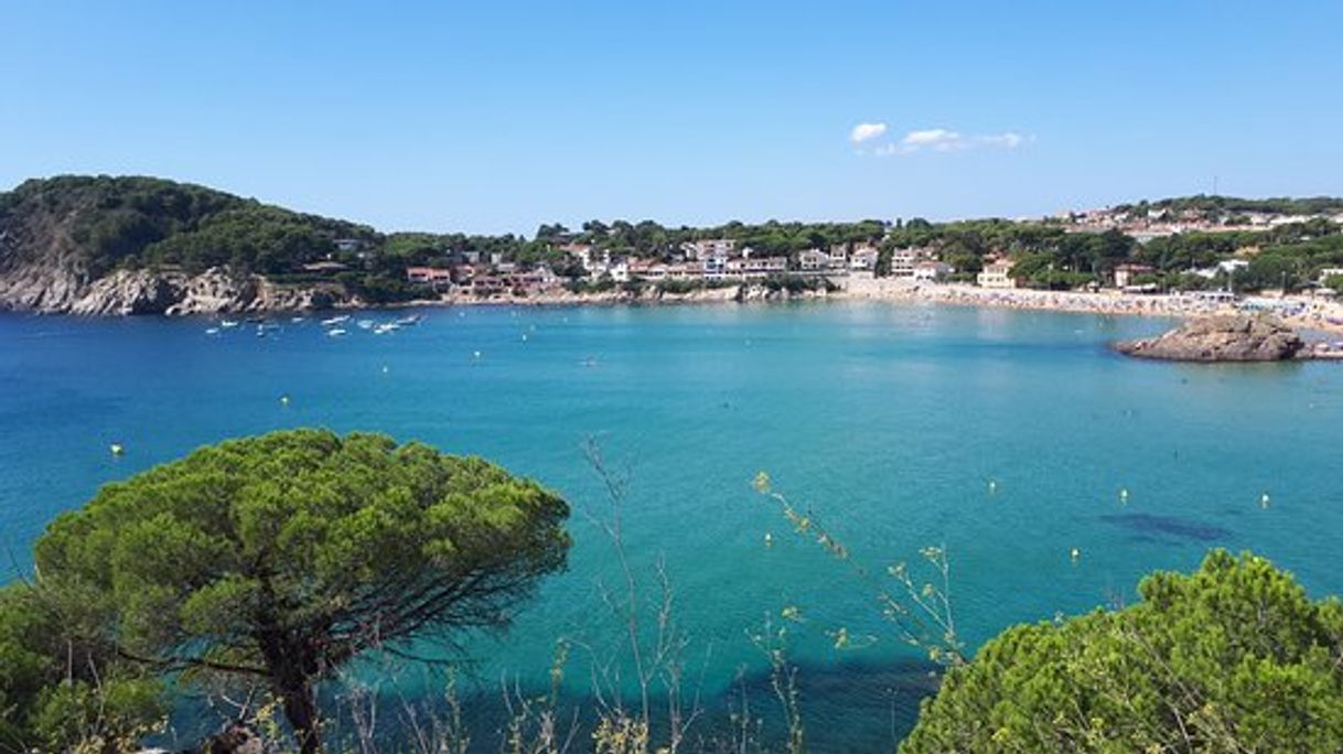 Lugar Playa de la Fosca