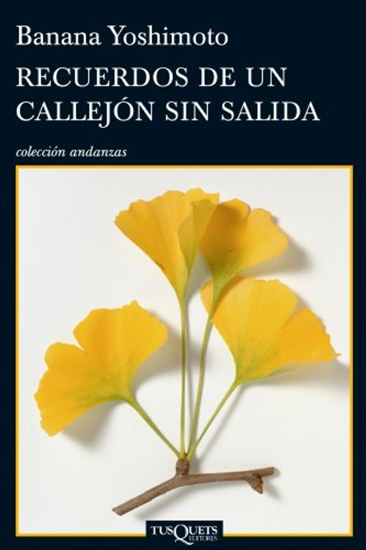 Libro Recuerdos de un callejón sin salida