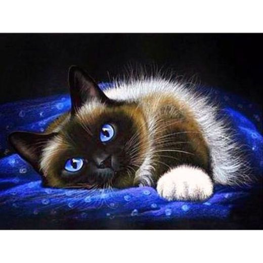 Diamond Painting"Cat Food" 3D Embroidery Cross Stitch Animal 5D Kitchen Decor Gift 40X50Cm