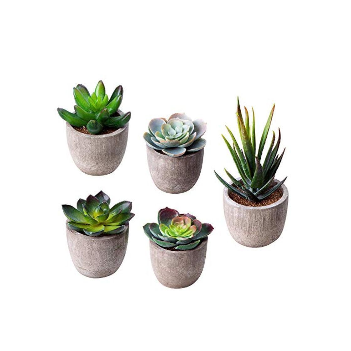 HB life 5 Piezas Plantas Suculentas Artificiales Plastico Maceta Decorativas