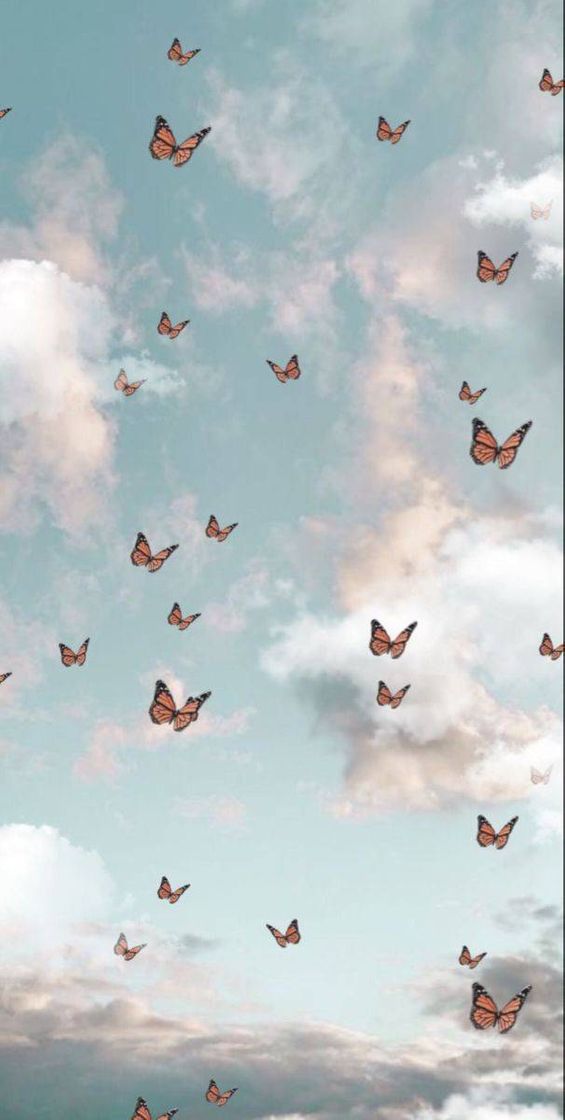 Borboletas 🦋