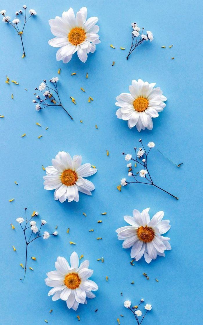 Flowers 🌼