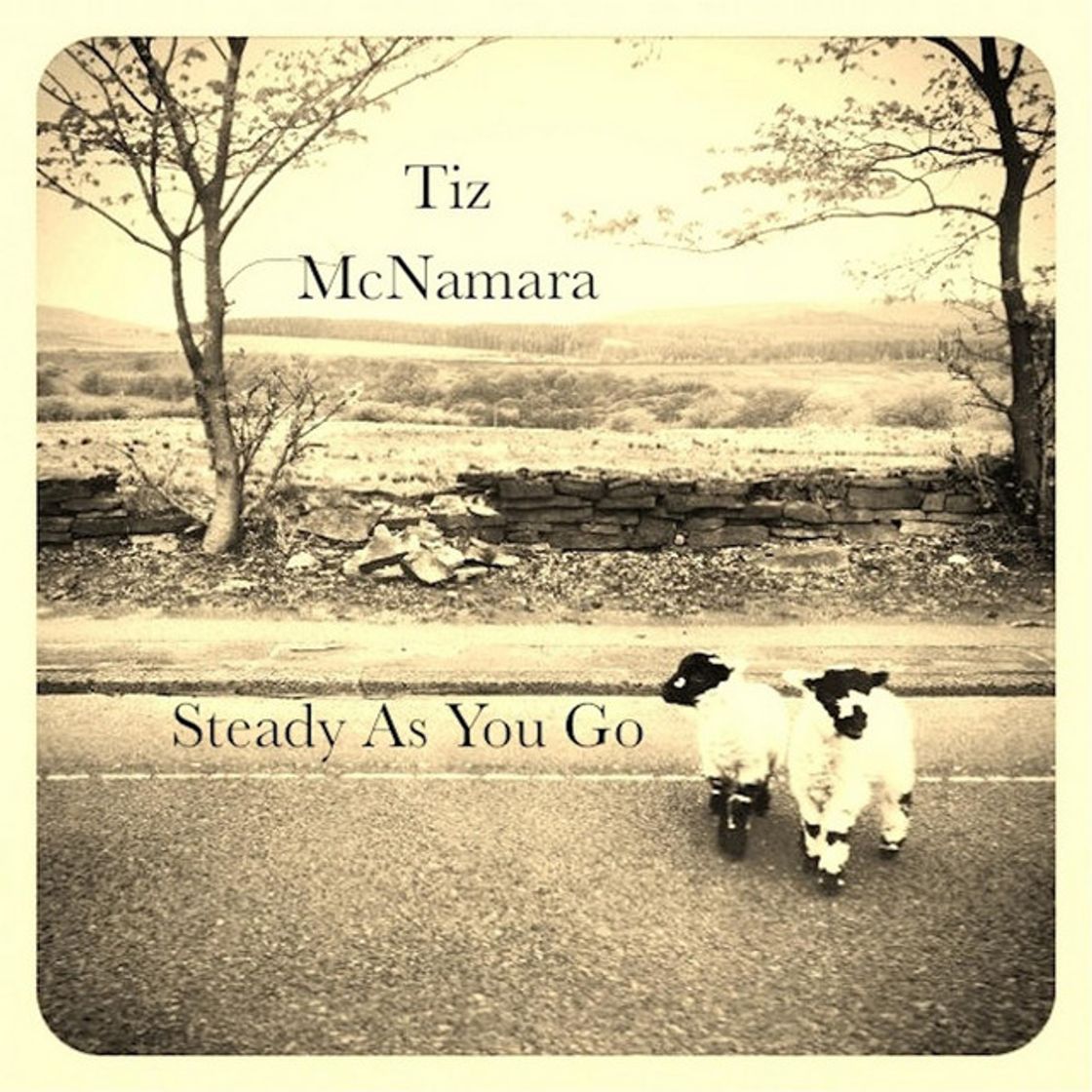 Music Steady as You Go