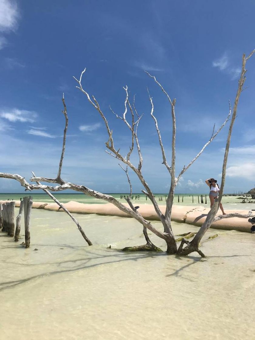 Place Isla de Holbox