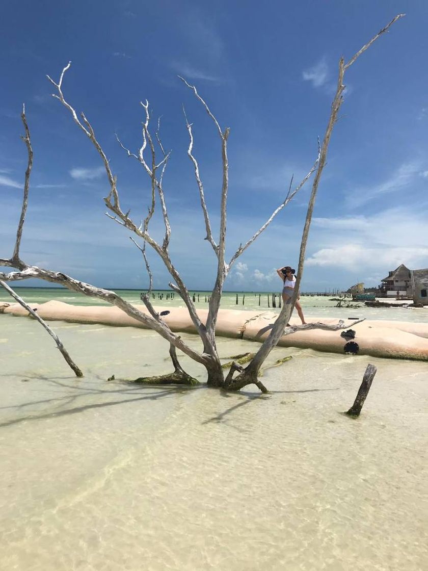 Place Isla de Holbox