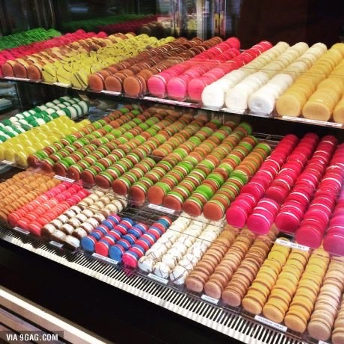 Moda Macarons in amsterdam 