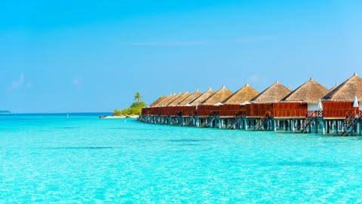 Lugar Maldive Islands