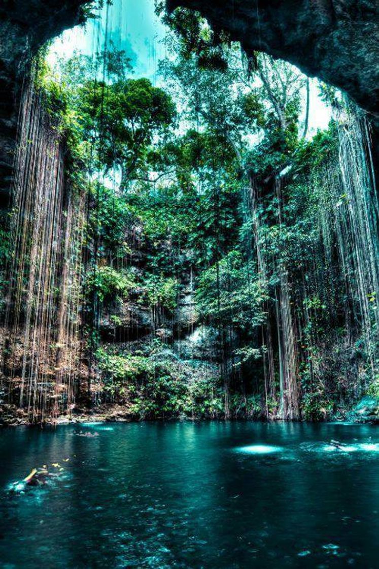 Fashion Cenote Ik kil,México 