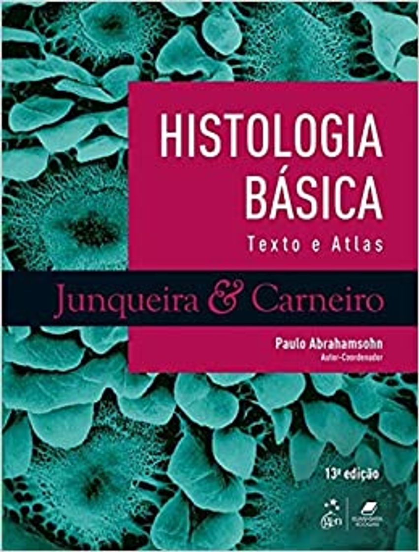 Book HISTOLOGÍA BÁSICA