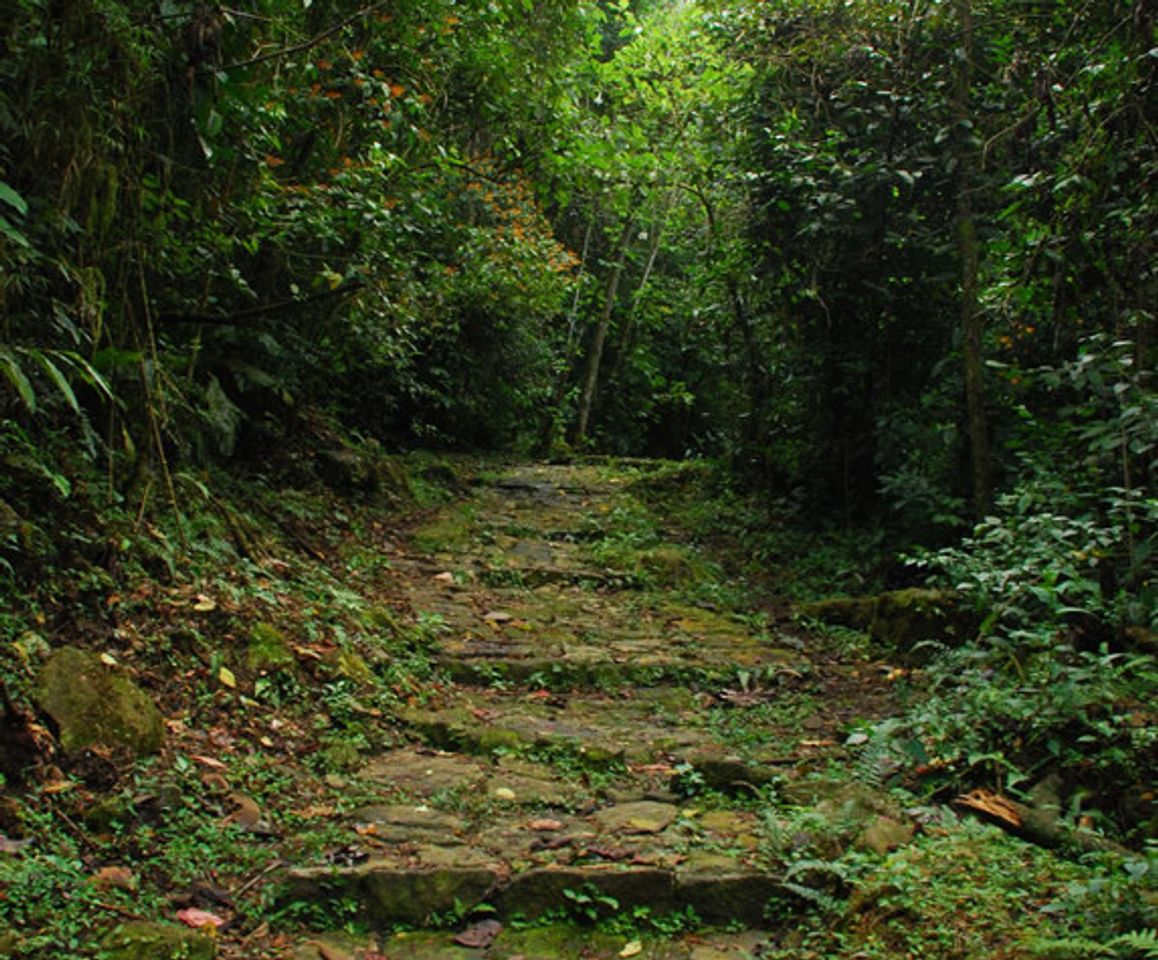 Place Caminatas Ecológicas