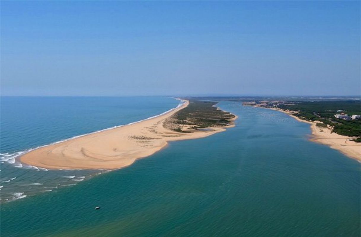 Lugar Playa de la Flecha de Nueva Umbría