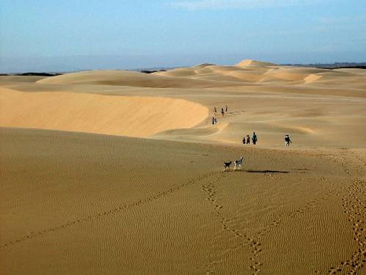 Lugar Parque Nacional Médanos De Coro