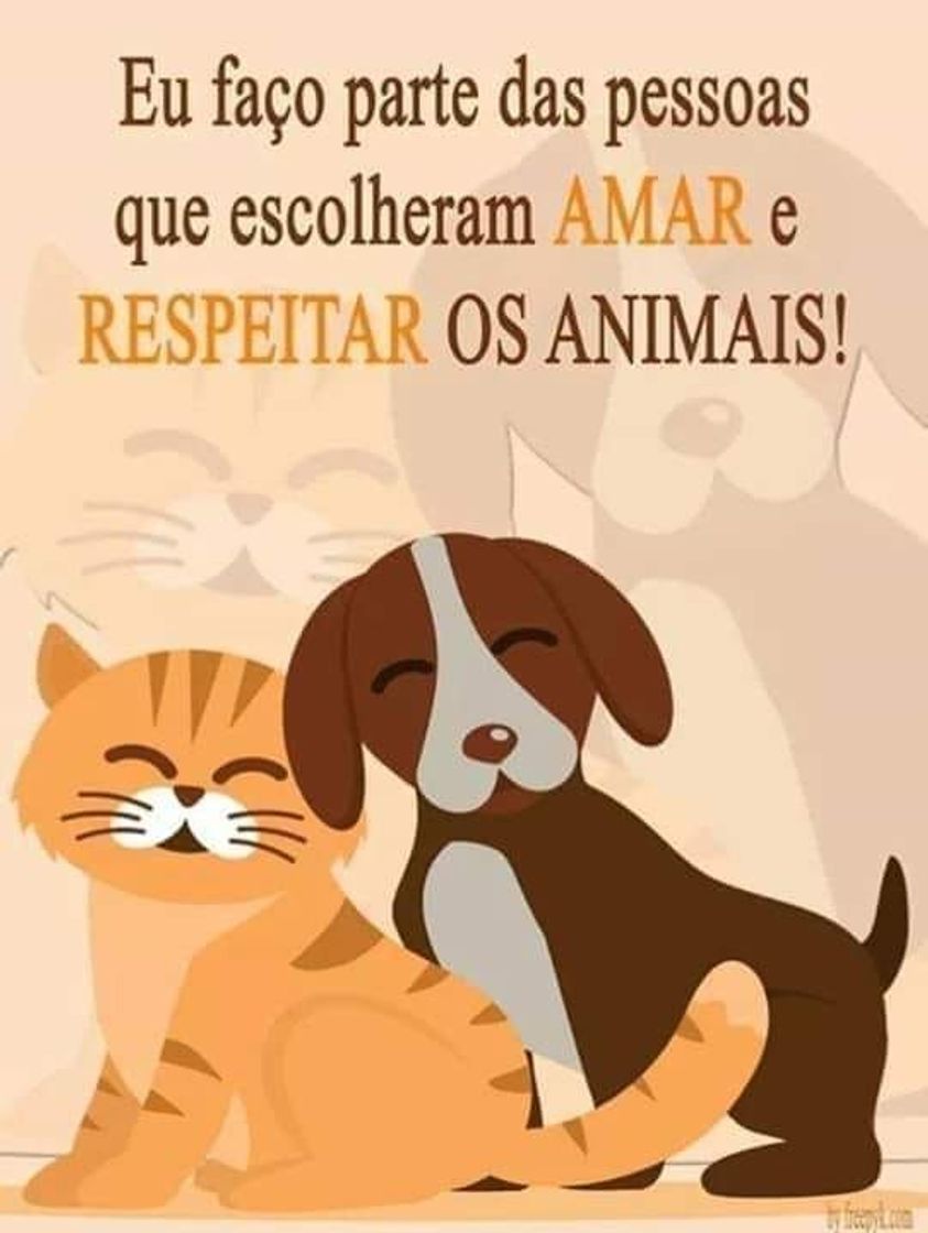 Moda Proteja quem vc ama 😻🐶 roupinhas para animais.