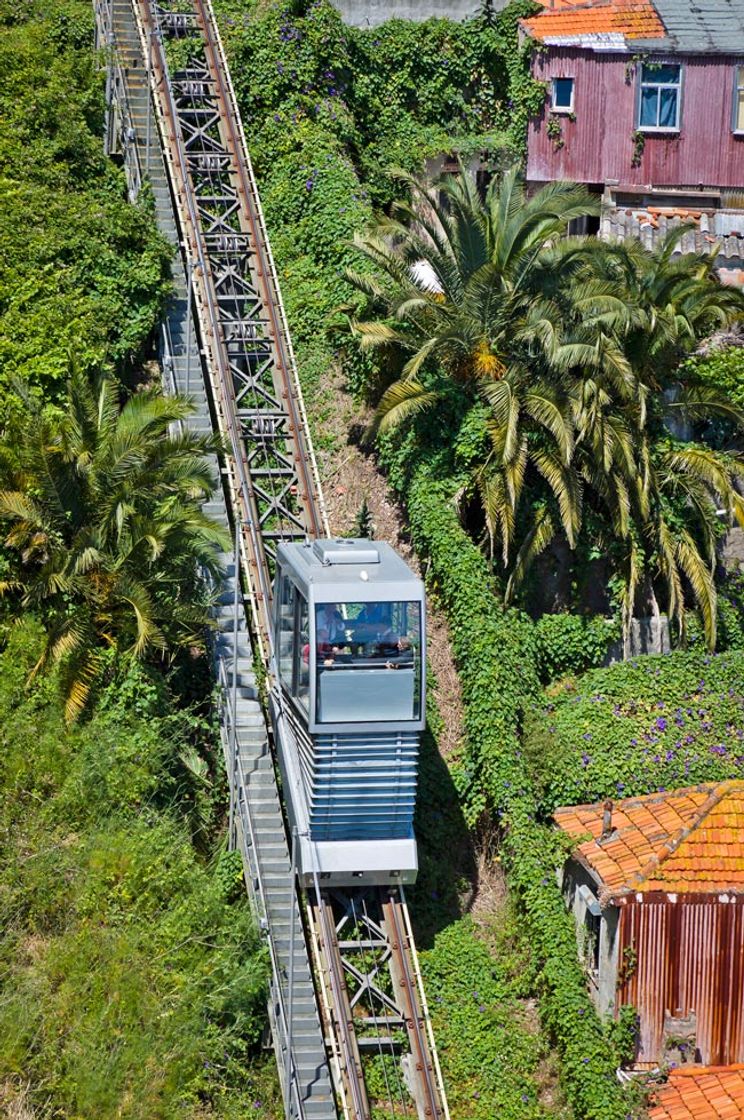 Restaurantes Funicular dos Guindais