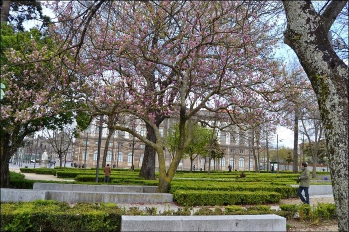 Lugar Jardim de João Chagas