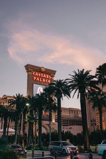 Las Vegas 🎰