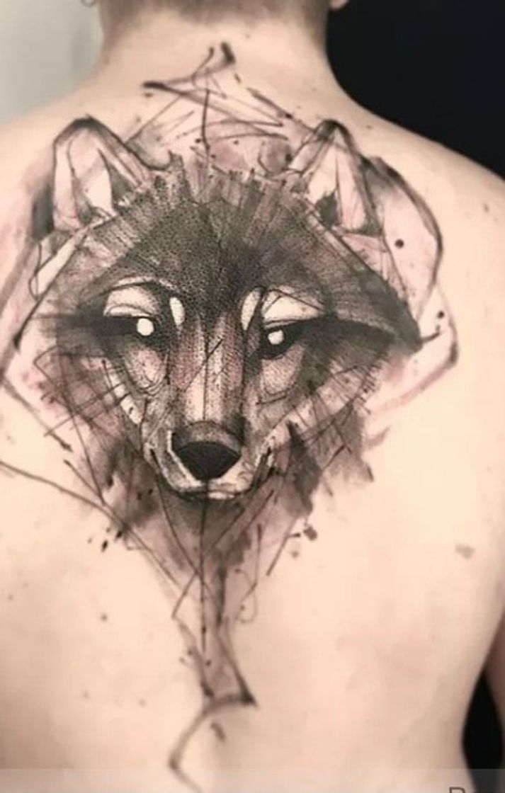 Social Sonhos de tattoo de lobo