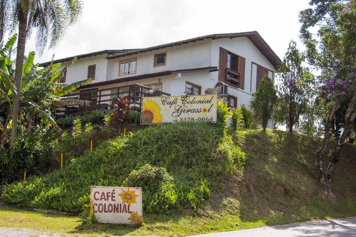 Restaurants Café Colonial Girassol