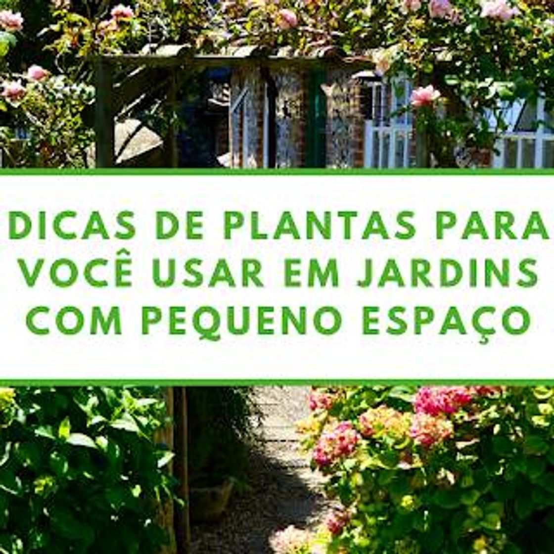 Fashion Dicas para jardinagem ☺