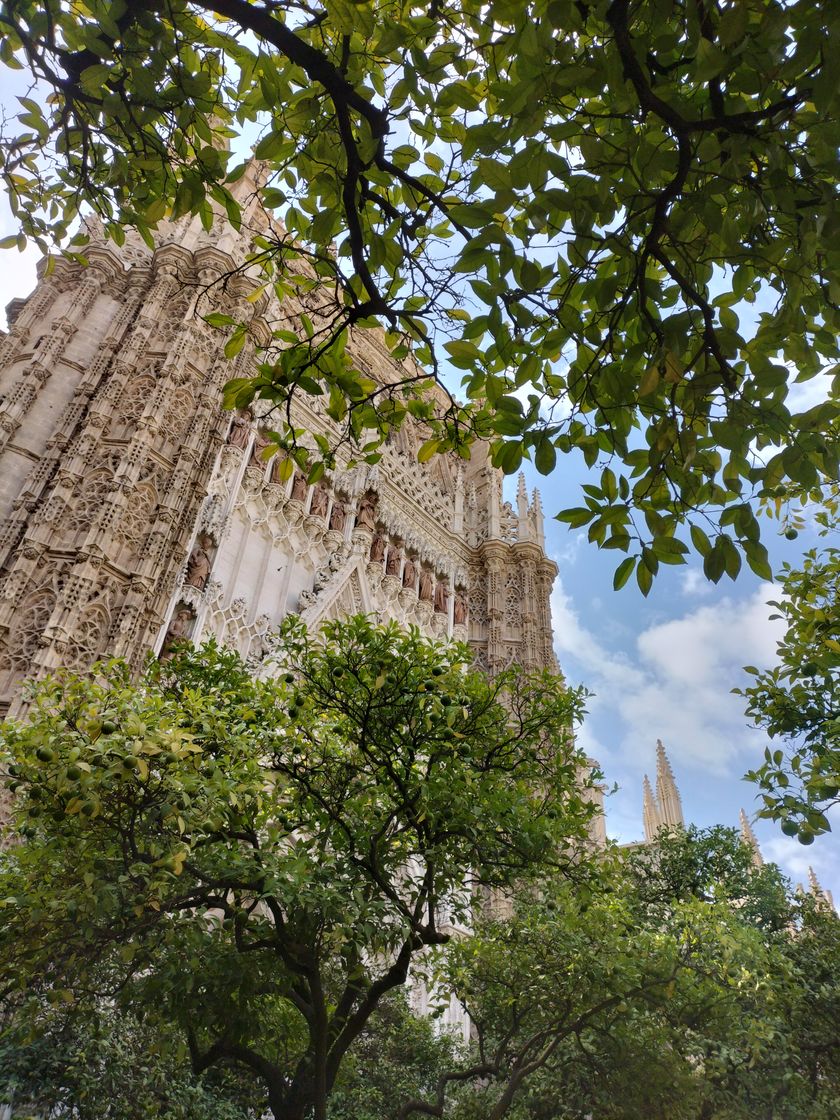 Lugar Catedral de Sevilla