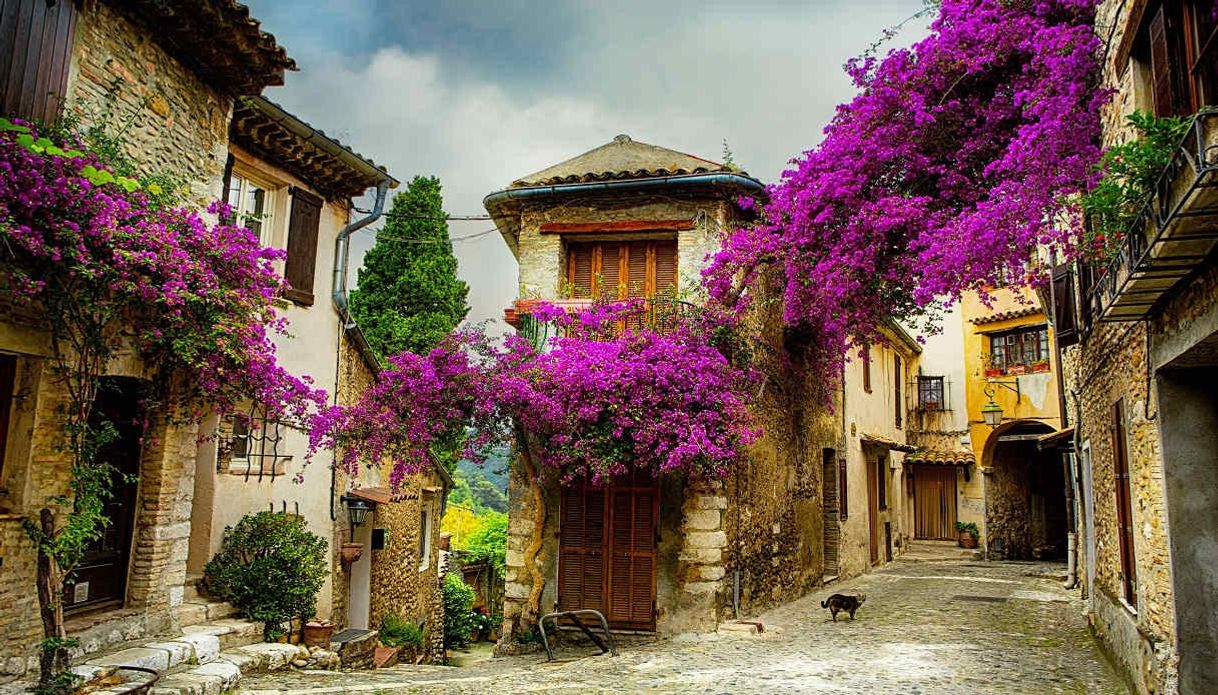 Place Provence