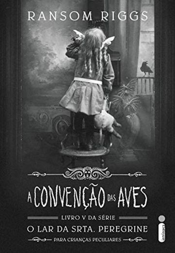 A Convenção Das Aves