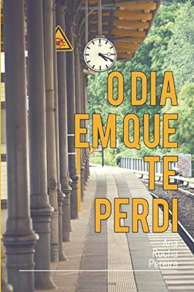 Book O dia em que te perdi