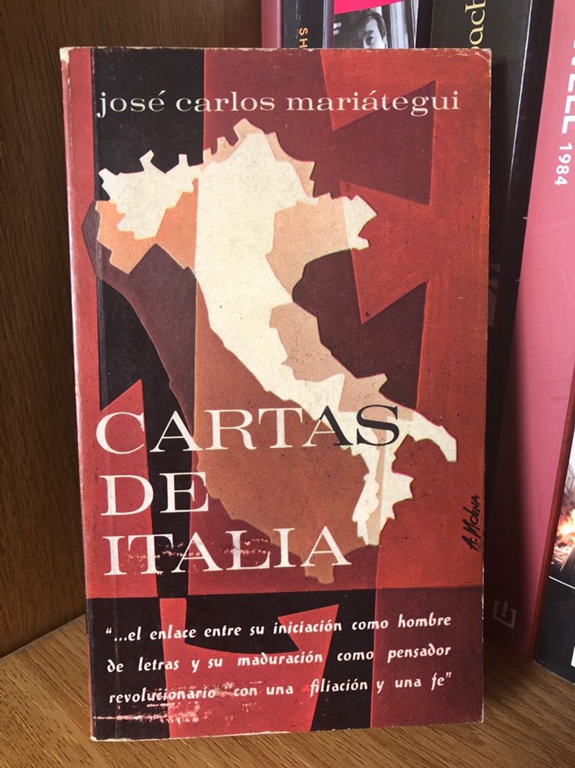 Libro Cartas de Italia 