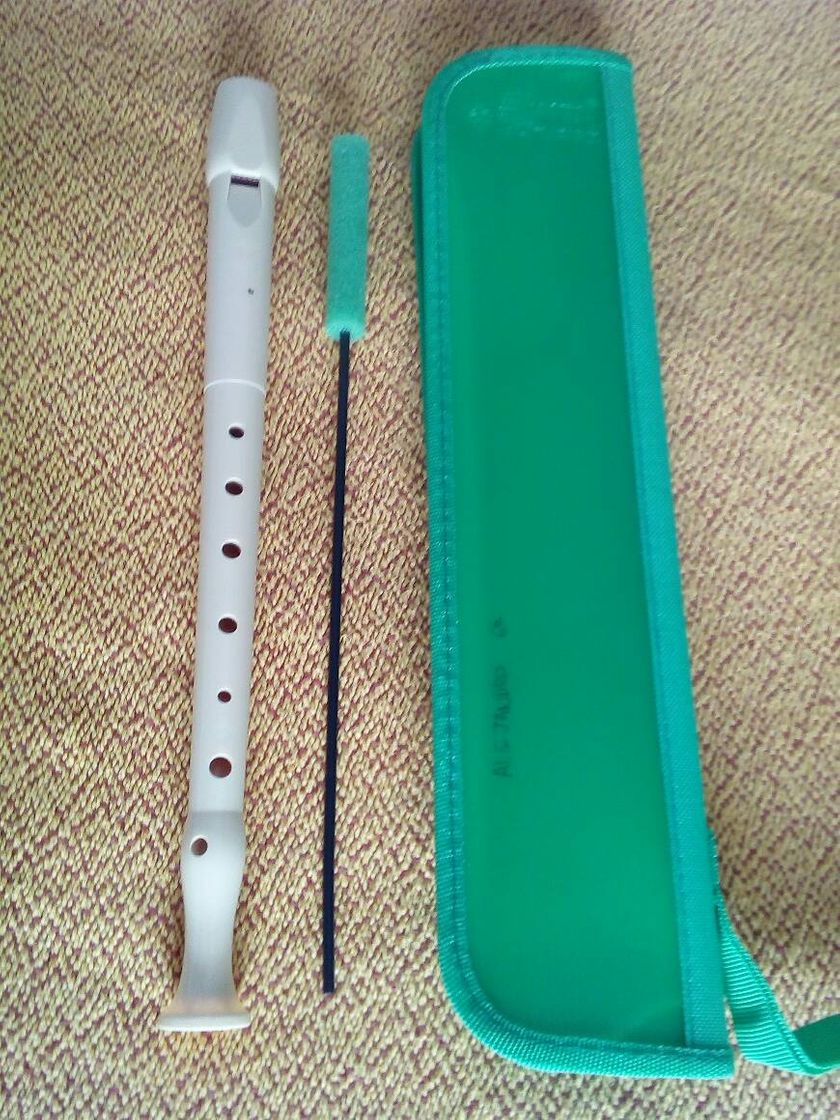 Social Hohner 9508 Flauta de plástico
