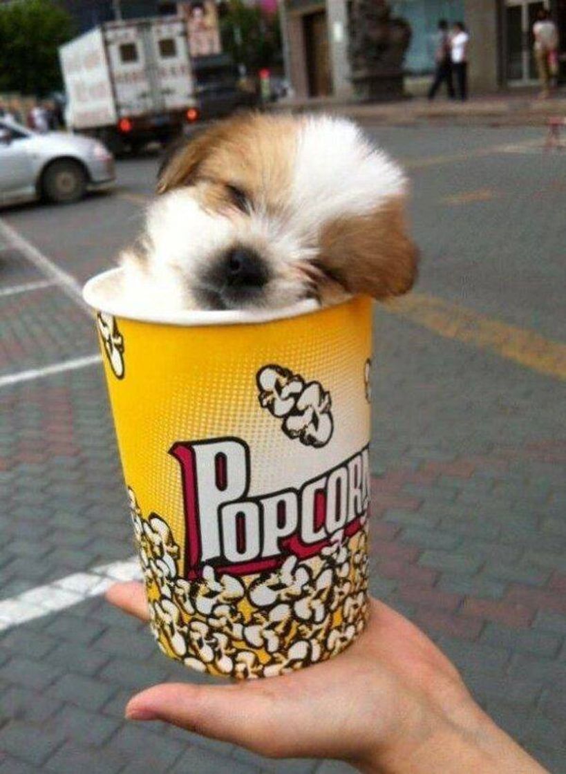 Social 🍿