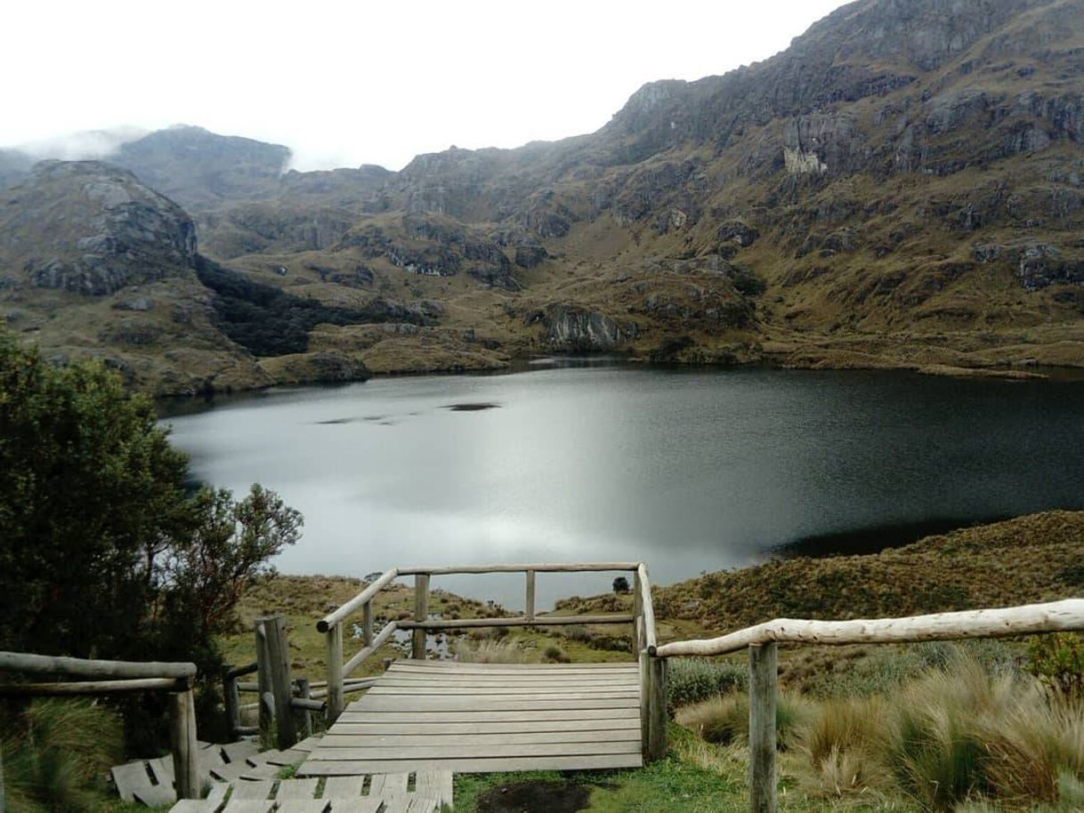 Place Parque Nacional Cajas