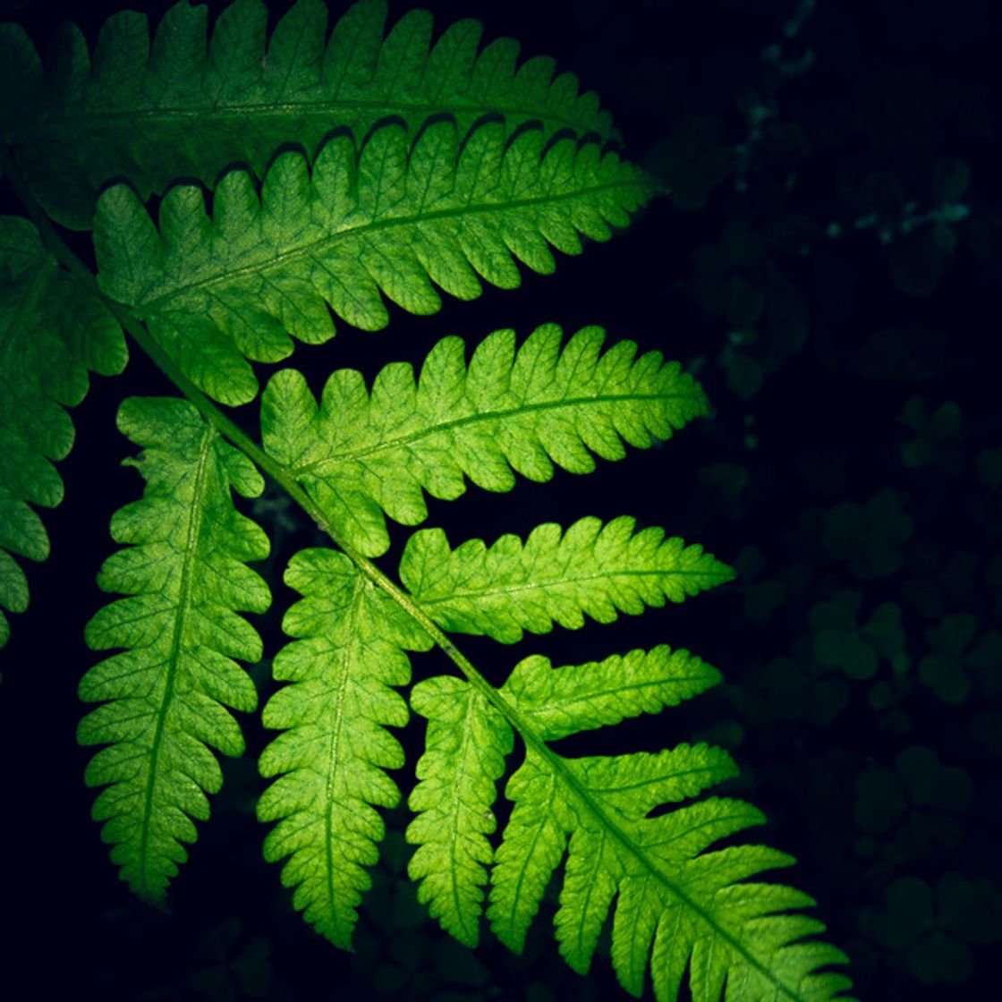 Canción Sombras De Azul