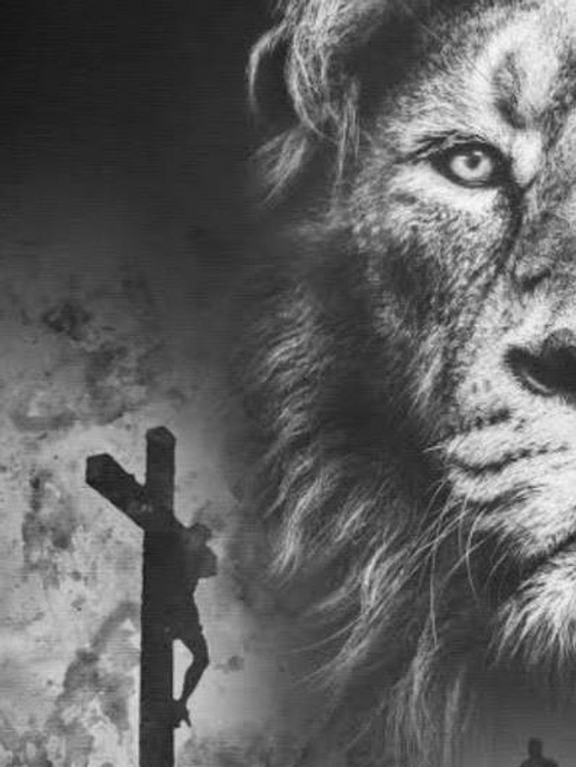 Canción Essa música top de mais 😍💘