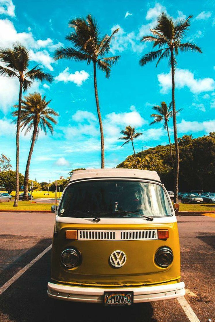 Moda Wallpaper combi 💛