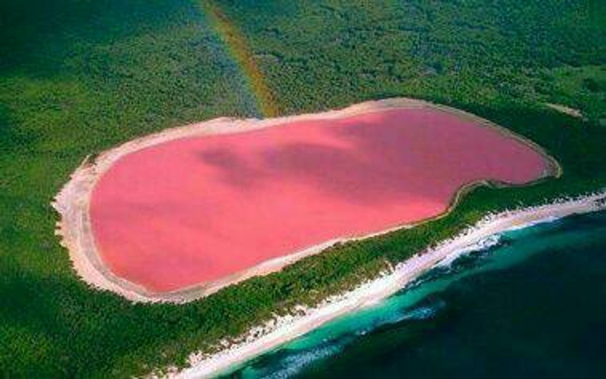 Moda Lagoa rosa